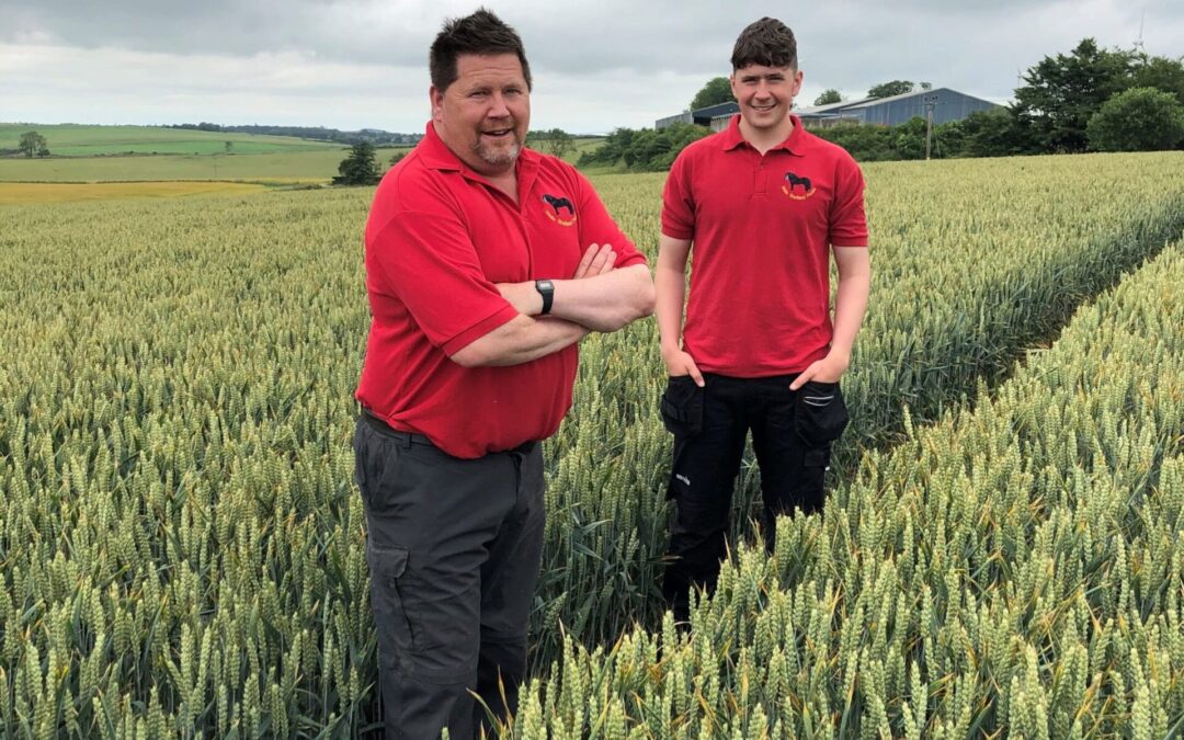 Wheat yields up 15% after three years with RHIZA