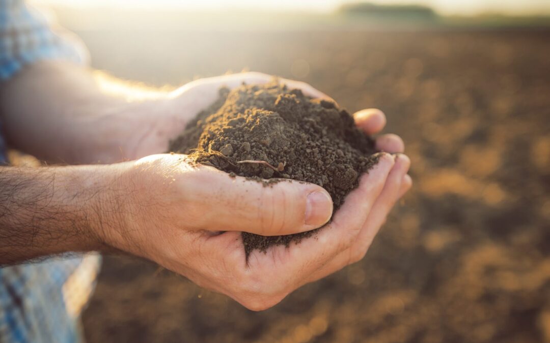 Manage soil health in Contour