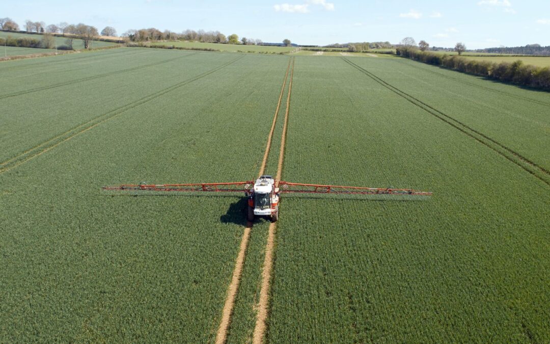 How RHIZA’s satellite imagery can help you during the current fertiliser setback
