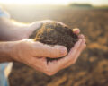 Handful of arable soil in hands of responsible farmer, close up, selective focus