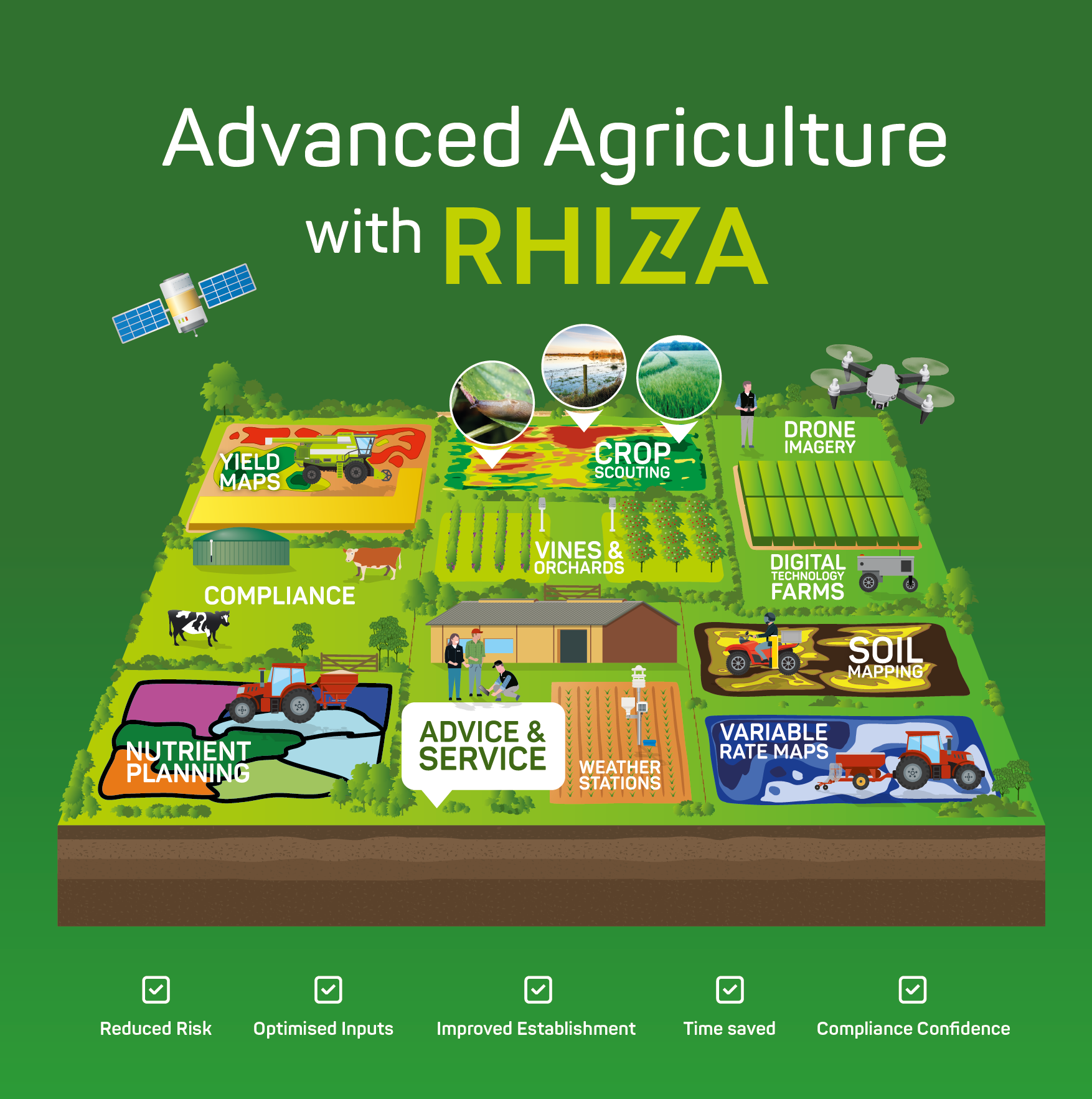rhizagraphic